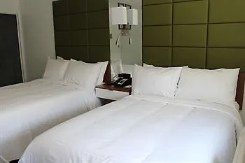 Hotel Bpm Brooklyn New York